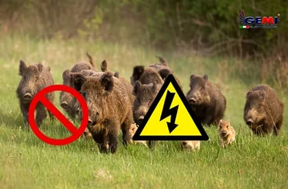 Dissuasores Elétricos para Animais: Como proteger seu jardim.