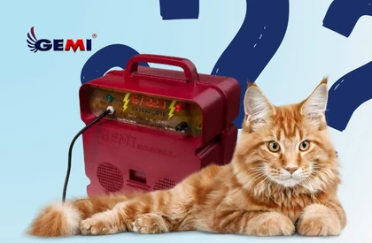 Repelentes para gatos: como proteger eficazmente jardins, pomares e propriedades.