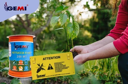 Jardim cercado: como proteger suas plantações com cerca elétrica