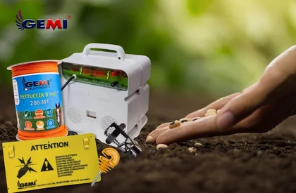 Cercas para jardim: como proteger suas plantações de forma eficaz e respeitosa.
