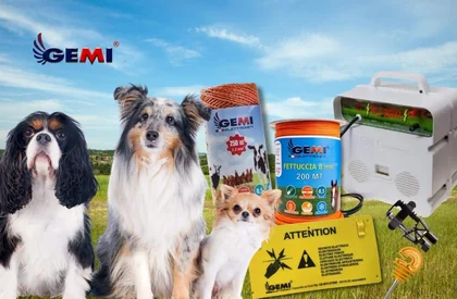 Guia e avaliação de cercas elétricas para cães: Energizador de cerca elétrica Gemi E/220