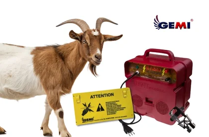 Cercas para cabras: a solução segura e eficaz é a cerca elétrica Gemi.