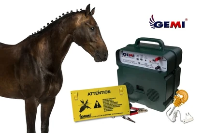 Cercas de madeira para cavalos: por que as cercas elétricas são uma opção mais segura?
