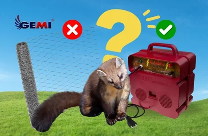 Rede antimarta: funciona mesmo? A solução mais eficaz para proteger galinheiros e animais de criação.