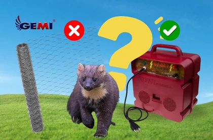 Rede antimarta: funciona mesmo? A solução mais eficaz para proteger galinheiros e animais de criação.