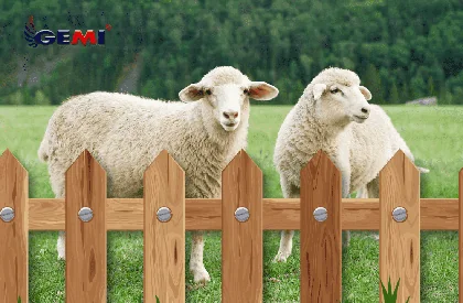 Sheep Net: é realmente a melhor solução?