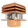 Extratores de fumo Modelo Cobre para chaminés redonda Ventilador Extrator de Fumos Ventilador centrífugo radial Ventilador para